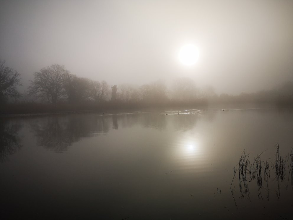 Edenbrook Country Park景点图片