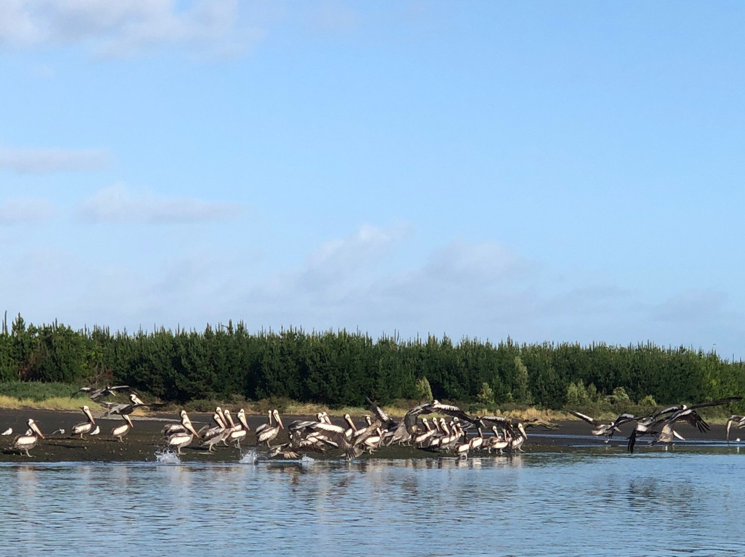 Uñum Kimün-Puerto Saavedra必去景点