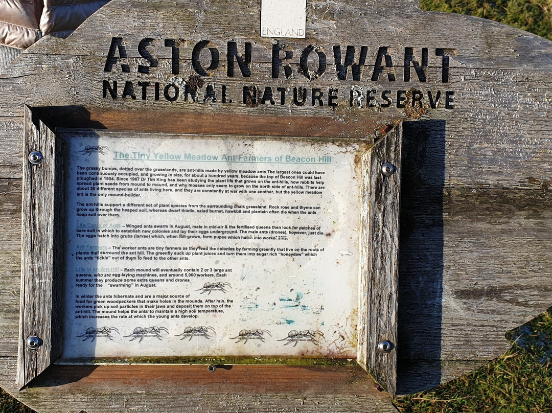 Aston Rowant Discovery Trail景点图片