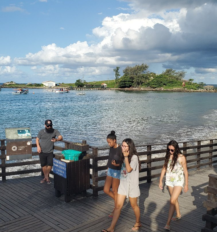 Armacao Beach景点图片