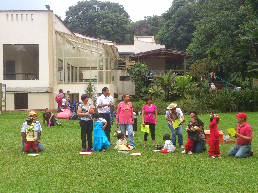 Jardin Botanico Francisco Javier Clavijero-哈拉帕必去景点