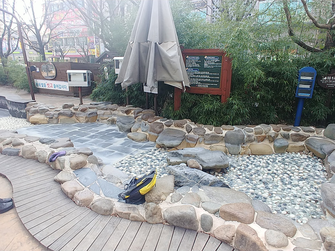 Yuseong Hot Springs Public Foot Bath景点图片