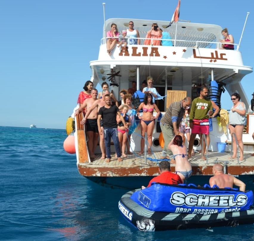 Got Your Guides-马卡迪湾必去景点