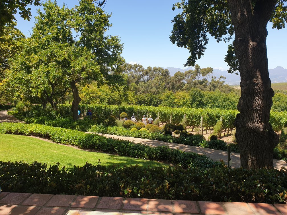 DeMorgenzon Winery-斯泰伦博斯必去景点