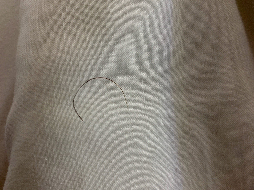 Baymont by Wyndham Muskegon主图