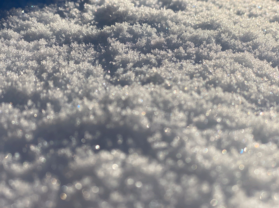Kalchkendlalm - A School on the Mountain-萨尔茨堡必去景点