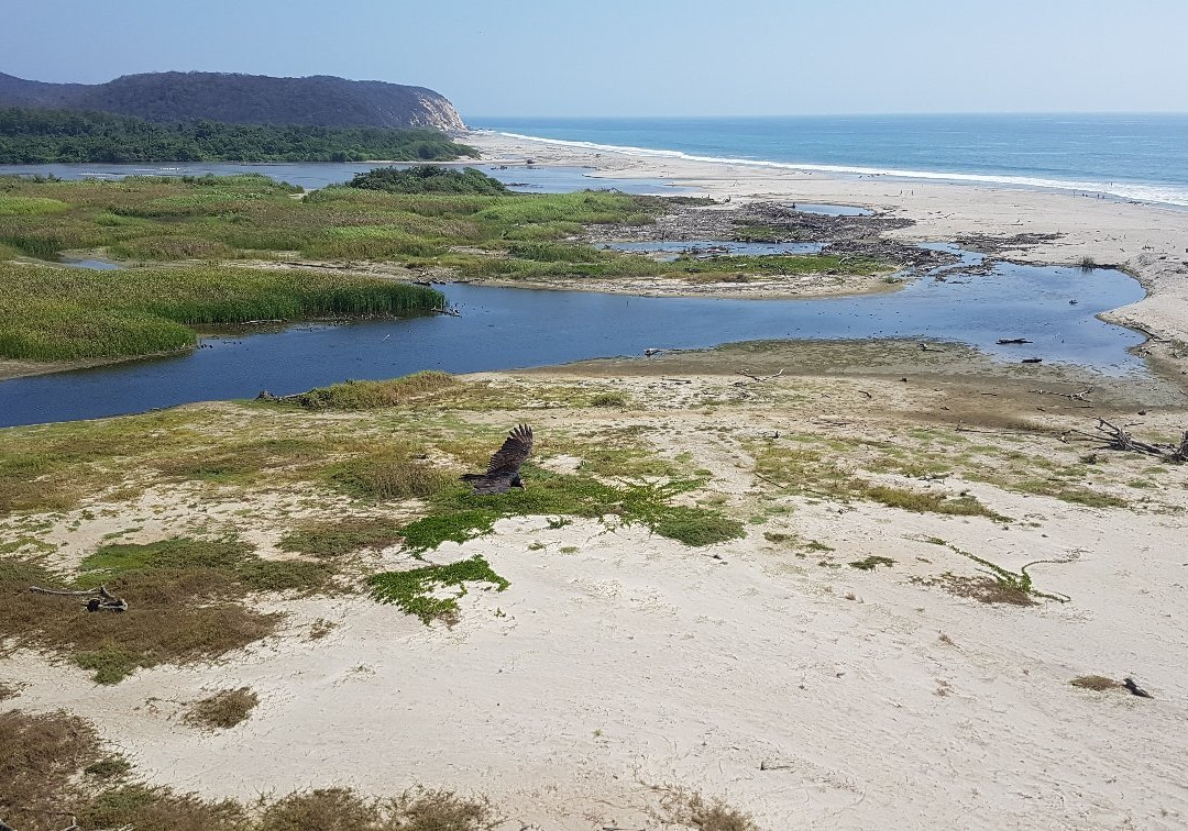 Parque Eco-Arqueológico de Bocana Copalita景点图片