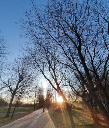 Murinsky Park of Culture and Leisure-圣彼得堡必去景点
