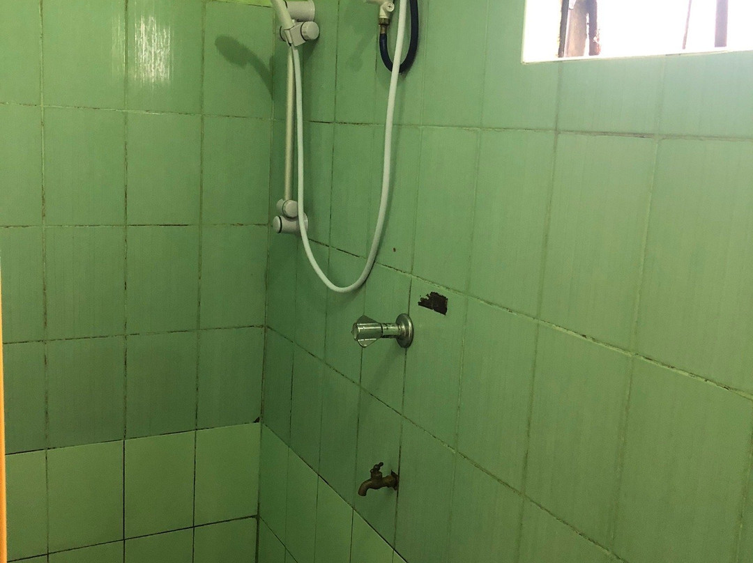 三叶草酒馆旅馆主图