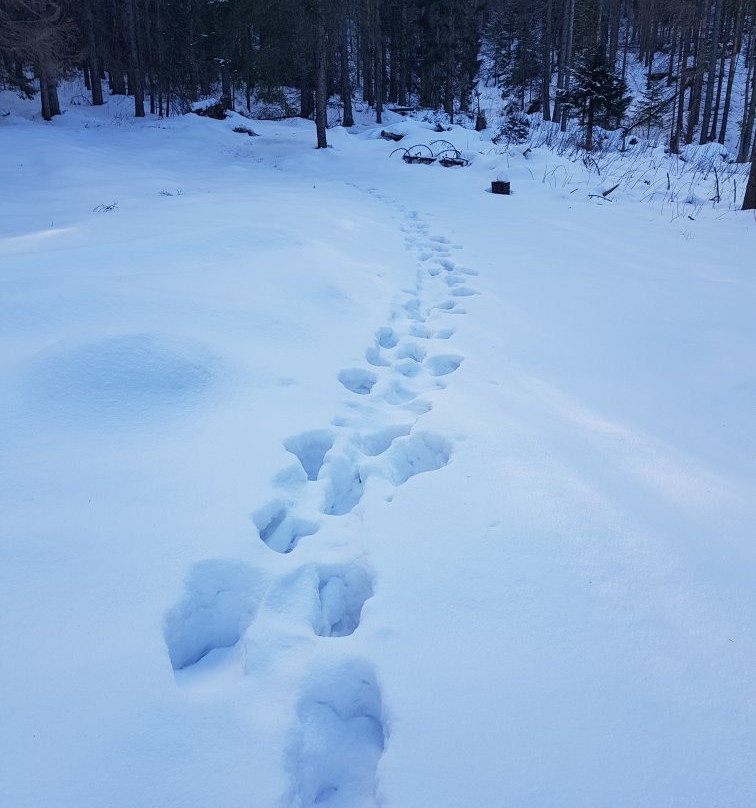 Wielki Kopieniec-扎科帕内必去景点