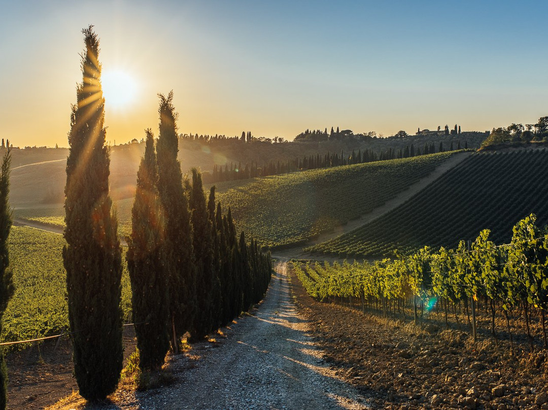 Colle Adimari-Cerreto Guidi必去景点