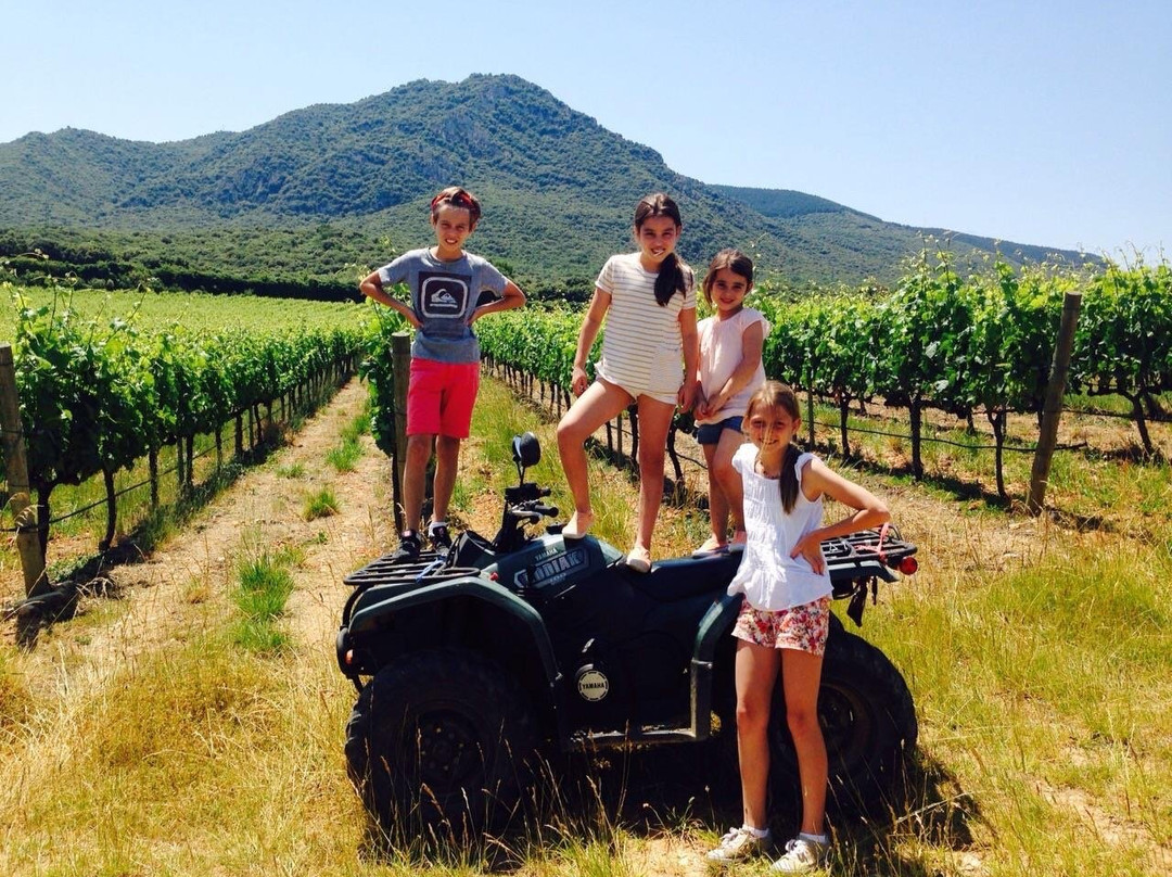 Bodegas Pago de Larrainzar-Ayegui必去景点