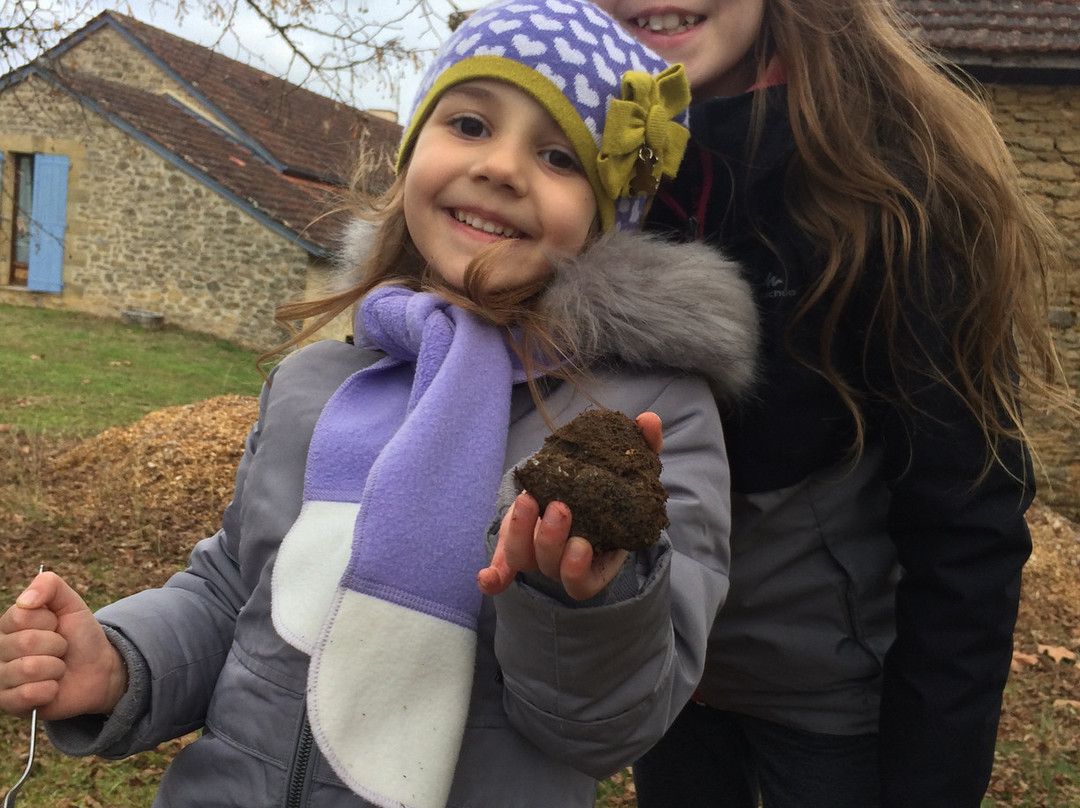 Domaine de Lascaux主图