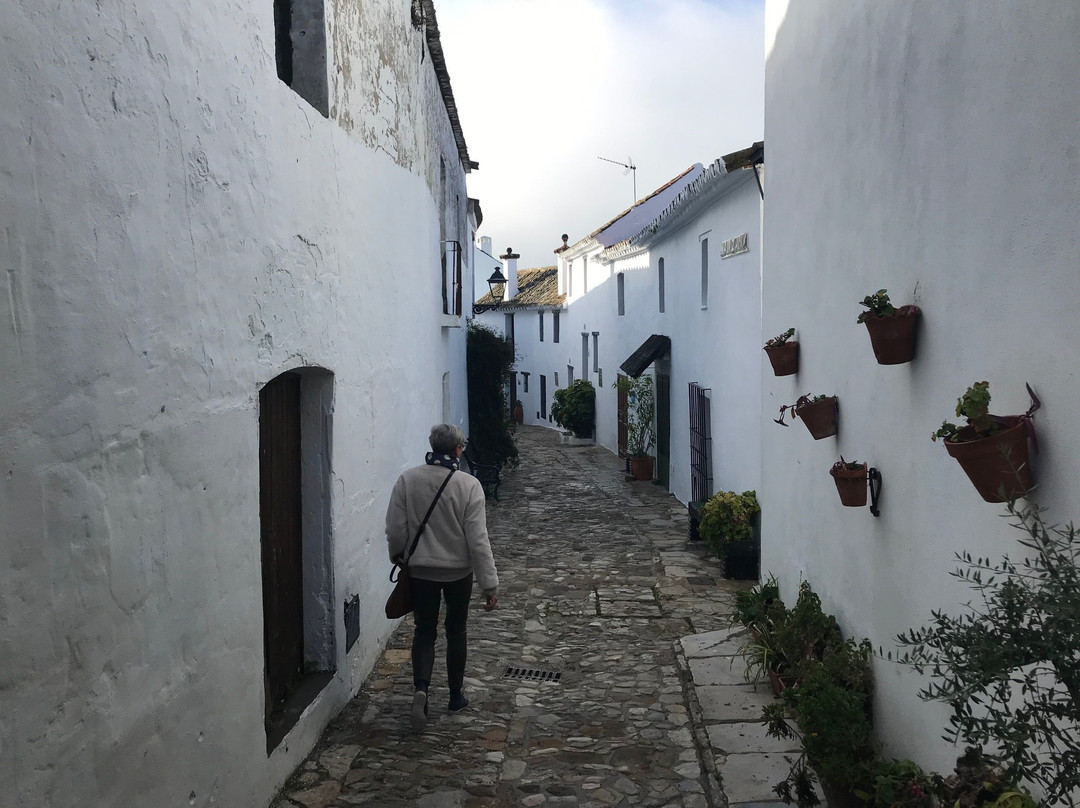 Hotel Castillo de Castellar主图