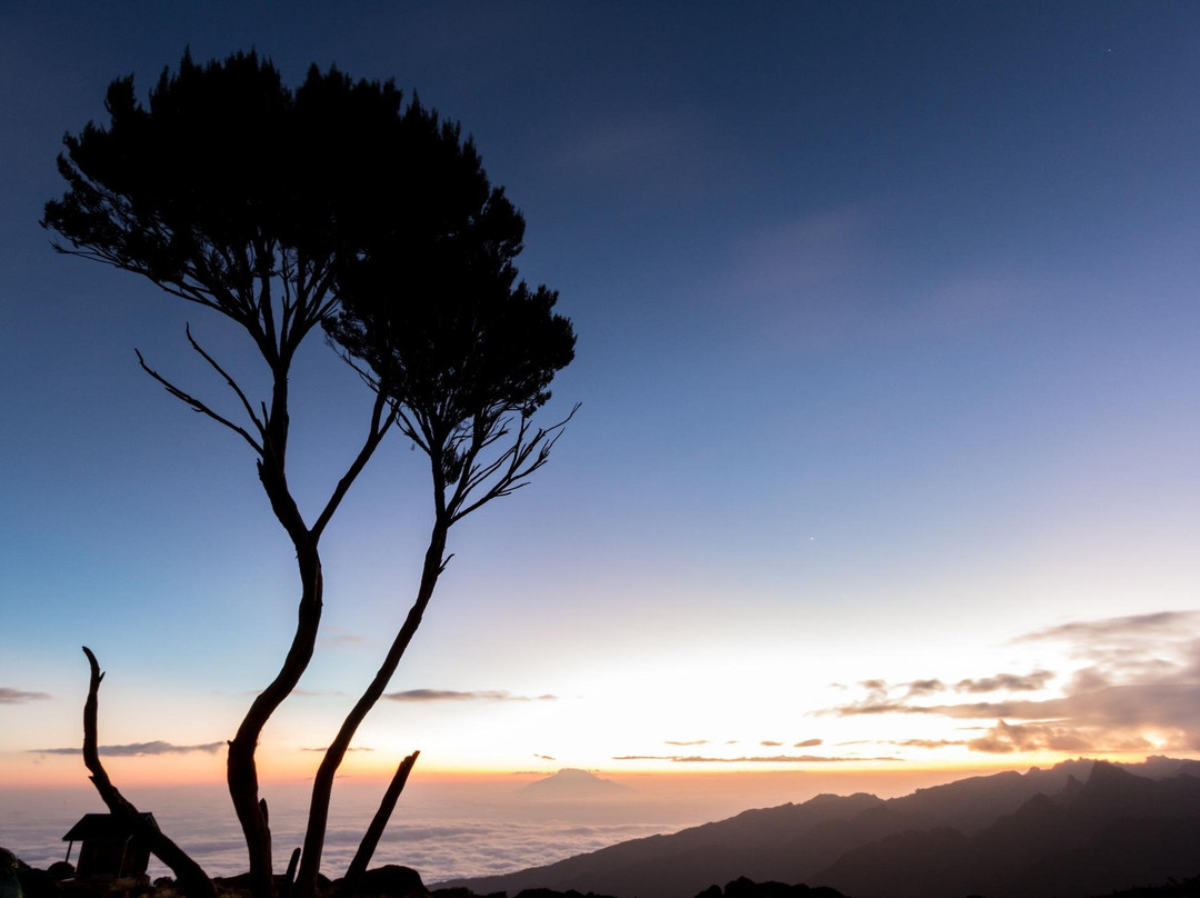 KILIMANJARO CLIMBING TOURS-Matemwe必去景点