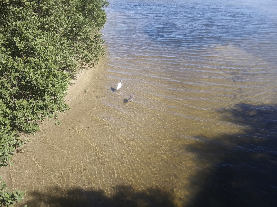 Joan M. Durante Community Park-长船礁必去景点