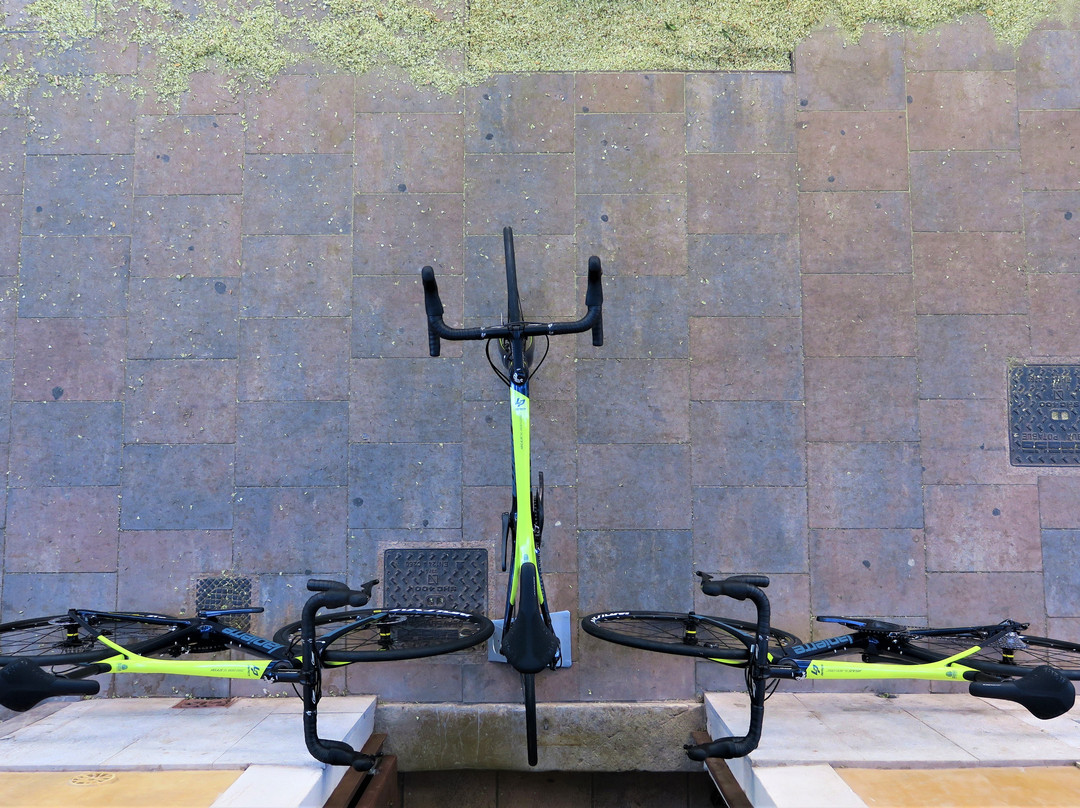 Cycling In Palma-马洛卡帕尔马必去景点