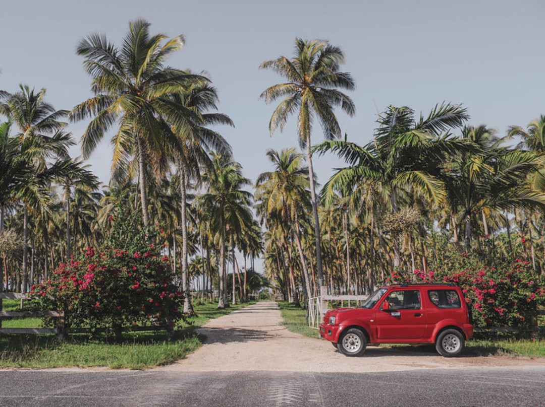 World Car Rentals Vanuatu-维拉港必去景点