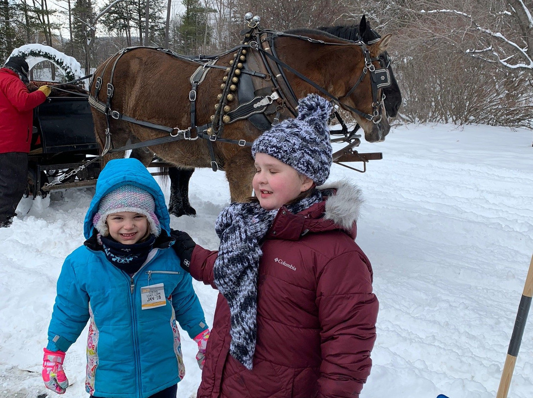 Nestlenook Estate & Resort Sleigh Rides-杰克逊必去景点