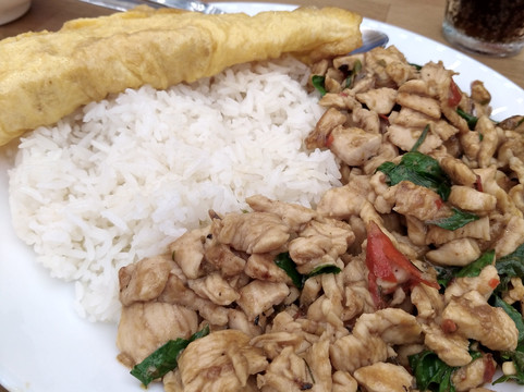 ต้นกะเพรา