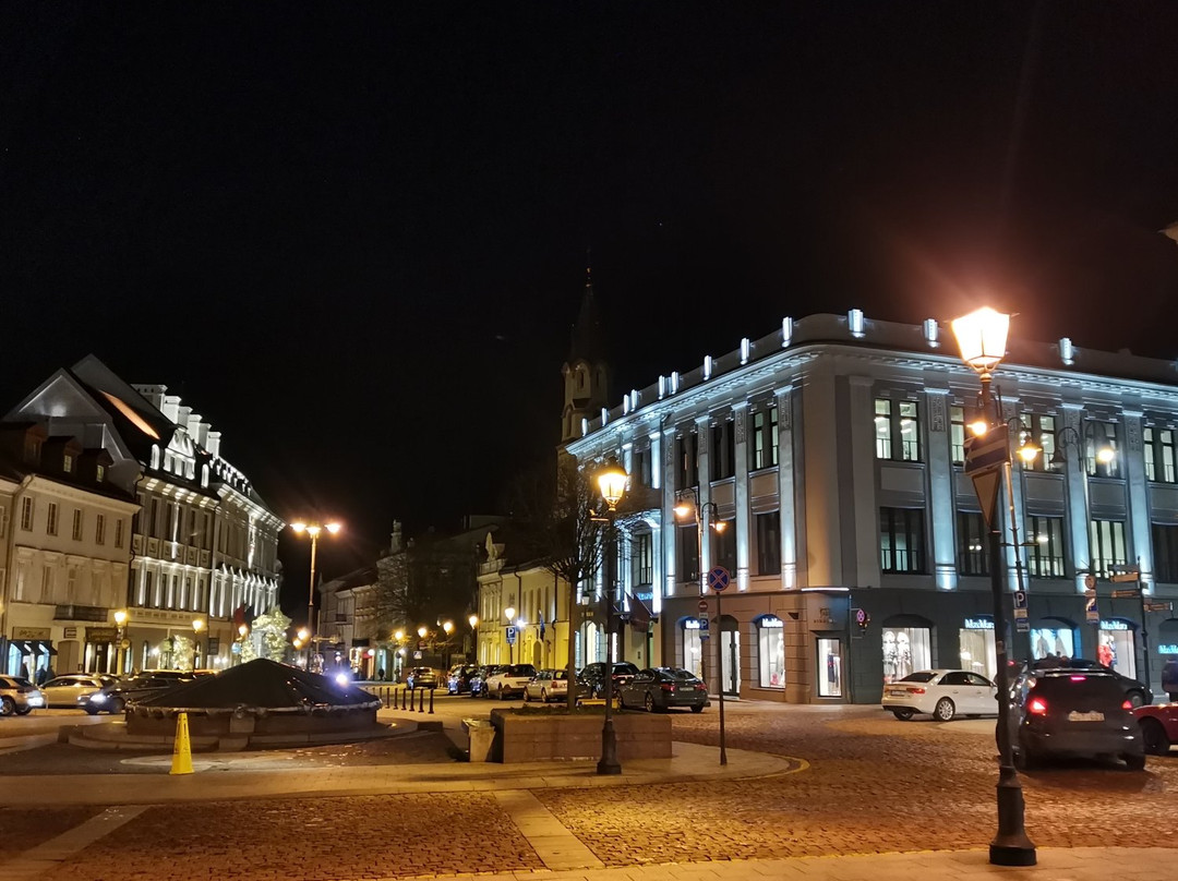 Vilnius City Tour-维尔纽斯必去景点