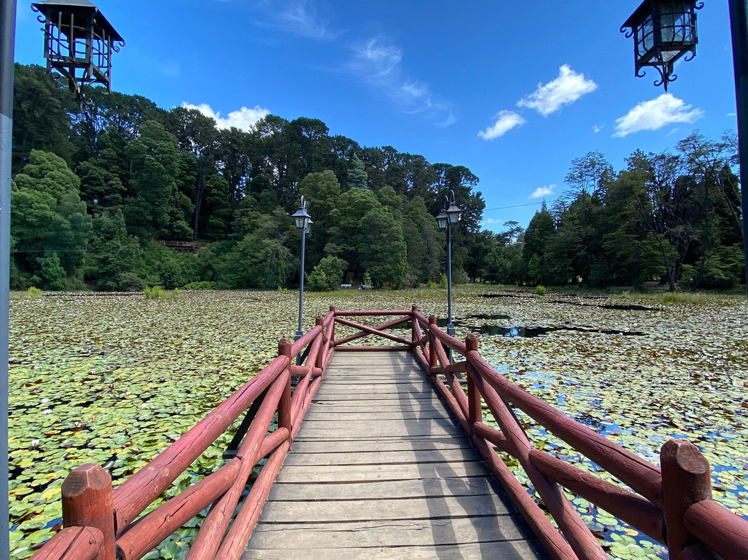 Laguna de los Lotos景点图片