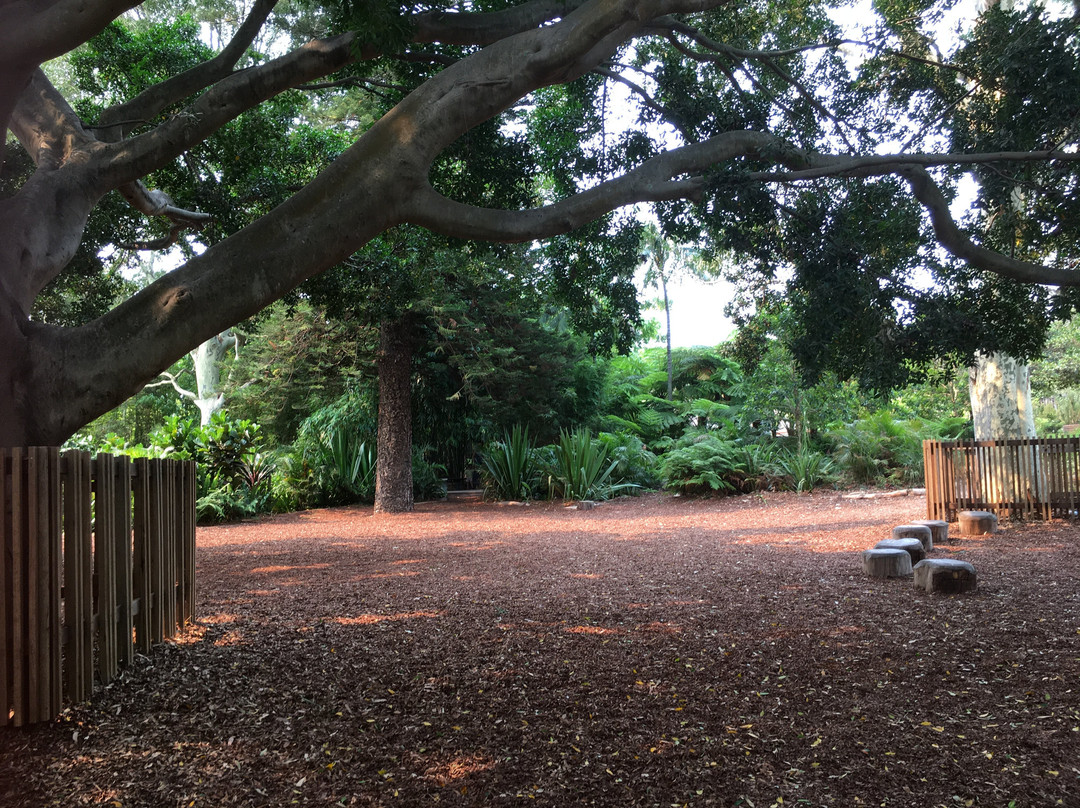 The Ian Potter Children's Wild Play Garden景点图片