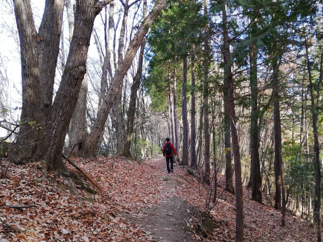 Azumayasan-小鹿野町必去景点