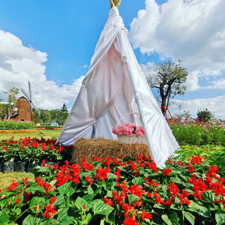 Viva Foresta Farm-那艾安必去景点