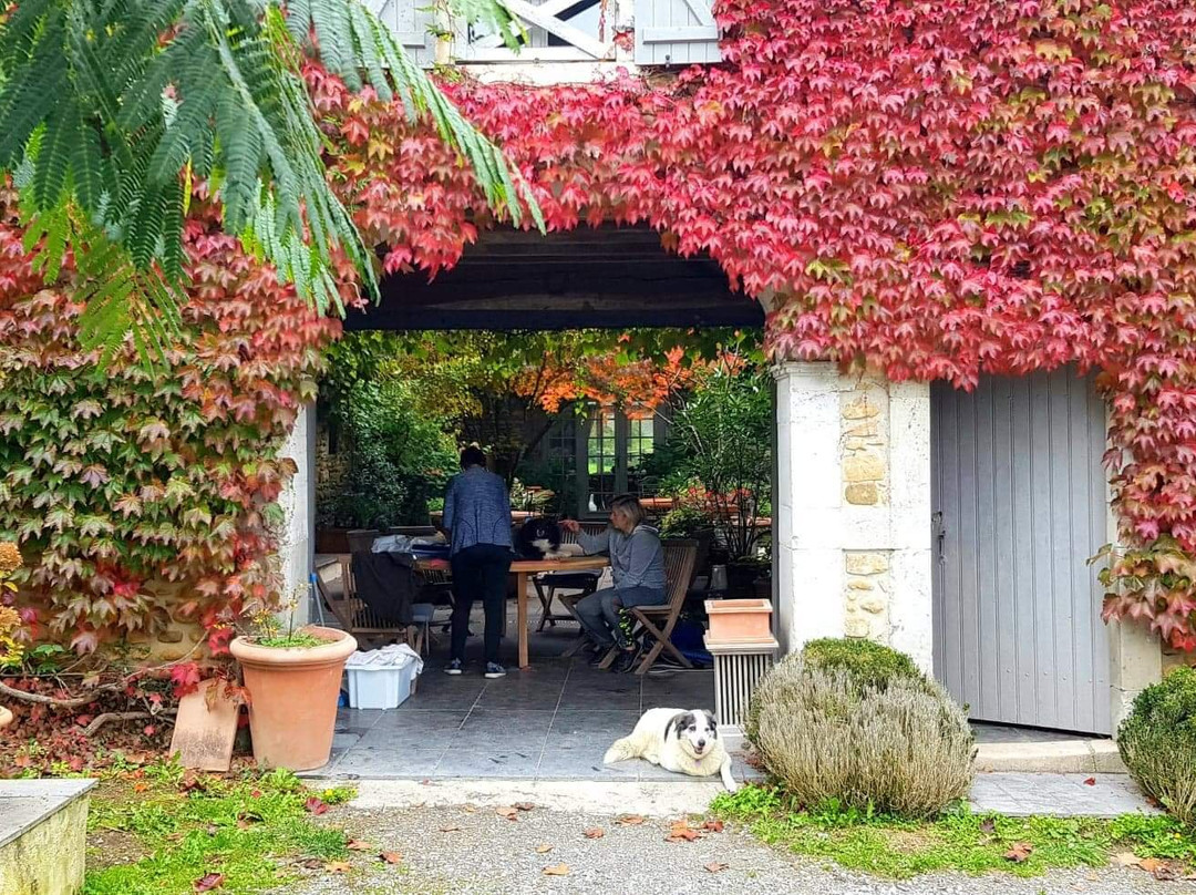 Maison estratte主图