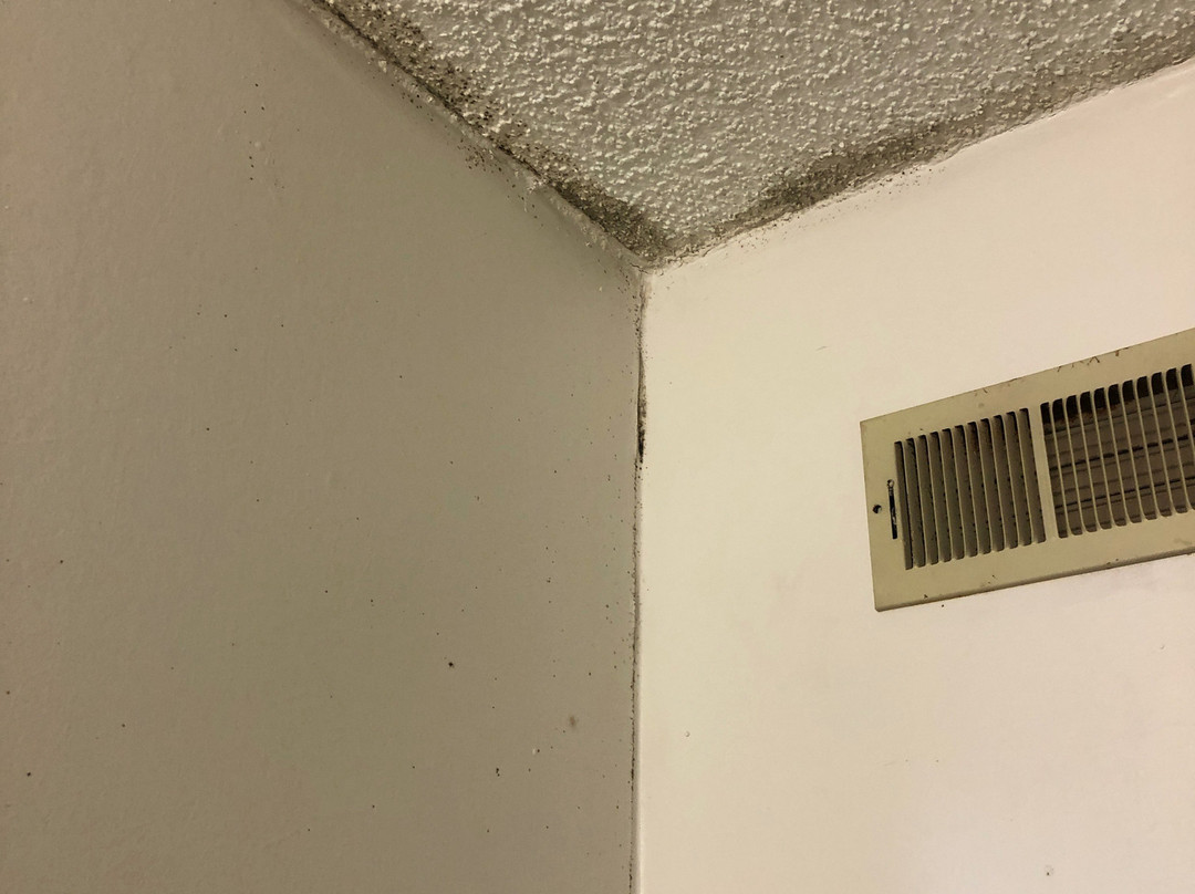 Wingate By Wyndham Murfreesboro- Near Mtsu主图