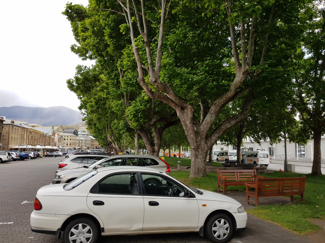 South Hobart景点图片