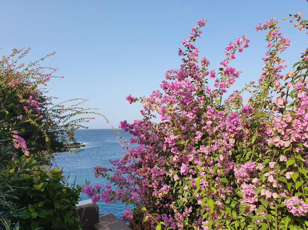 金·费希尔度假村主图