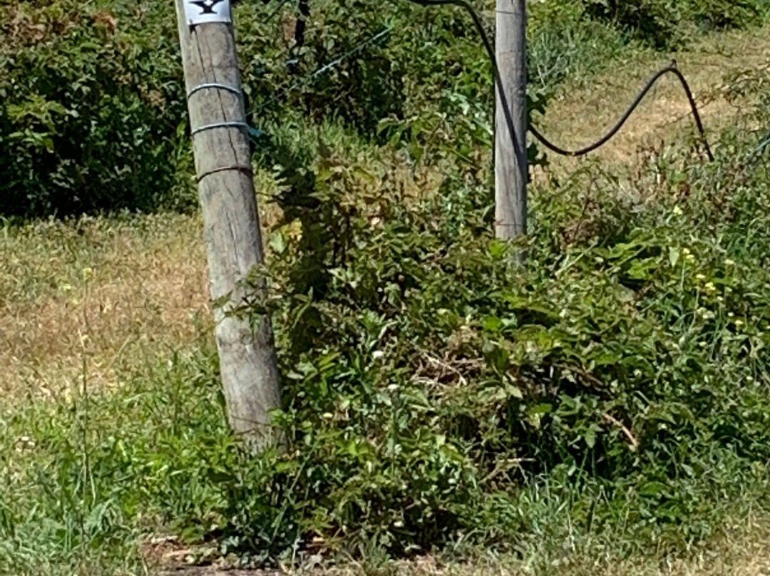 Sorell Fruit Farm-索雷尔必去景点