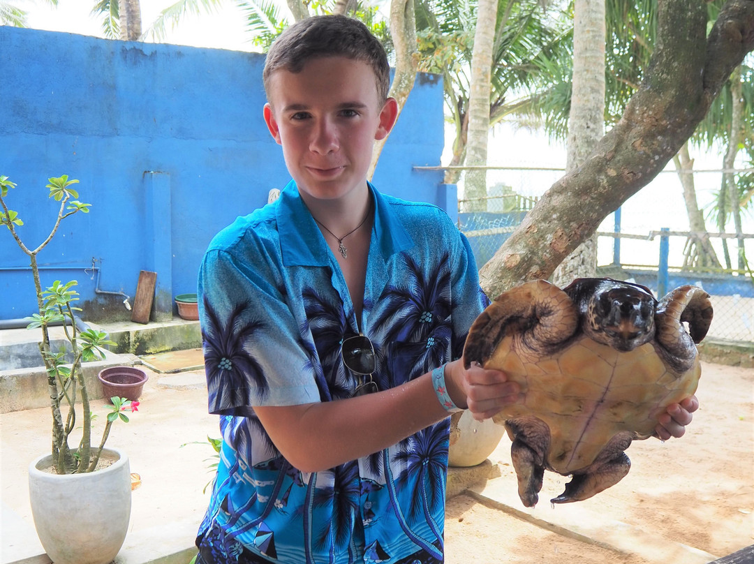 NiroshSaru Travels-希克杜沃必去景点