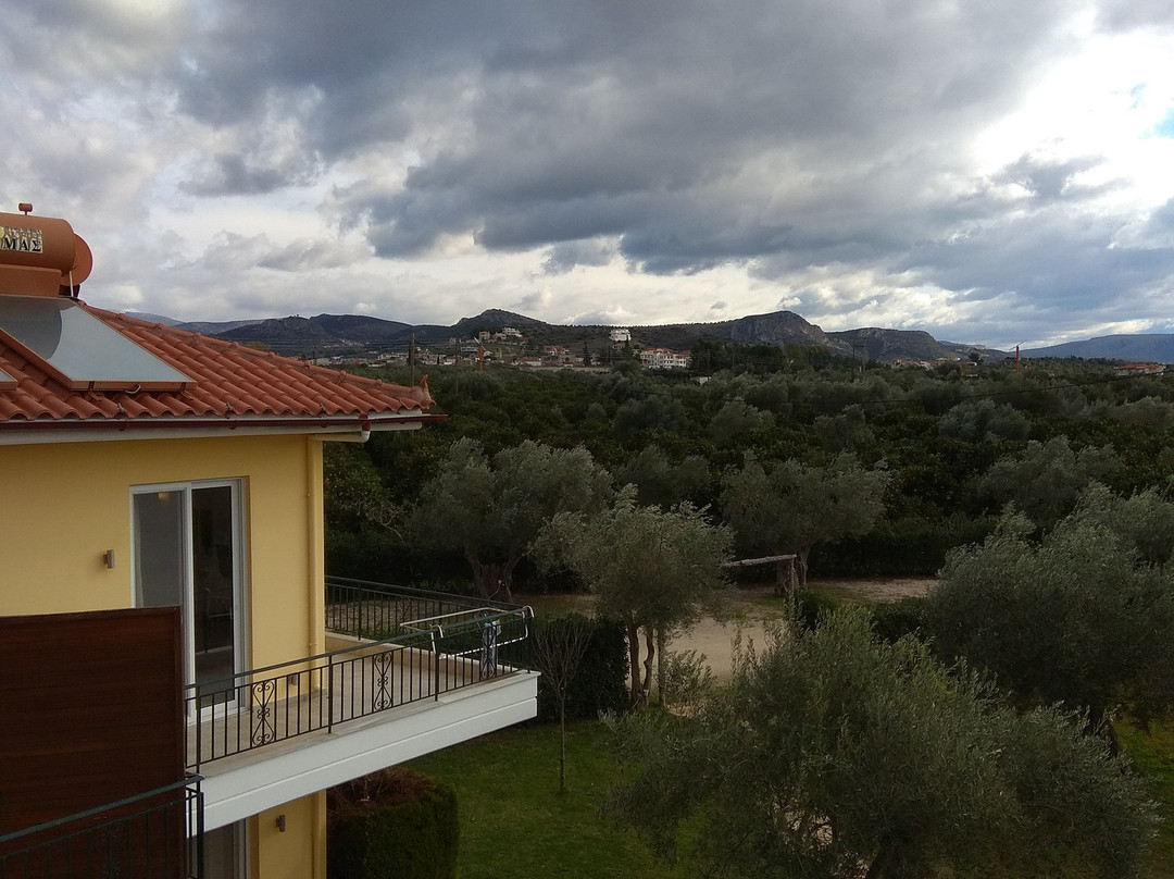 Agroktima Elia主图