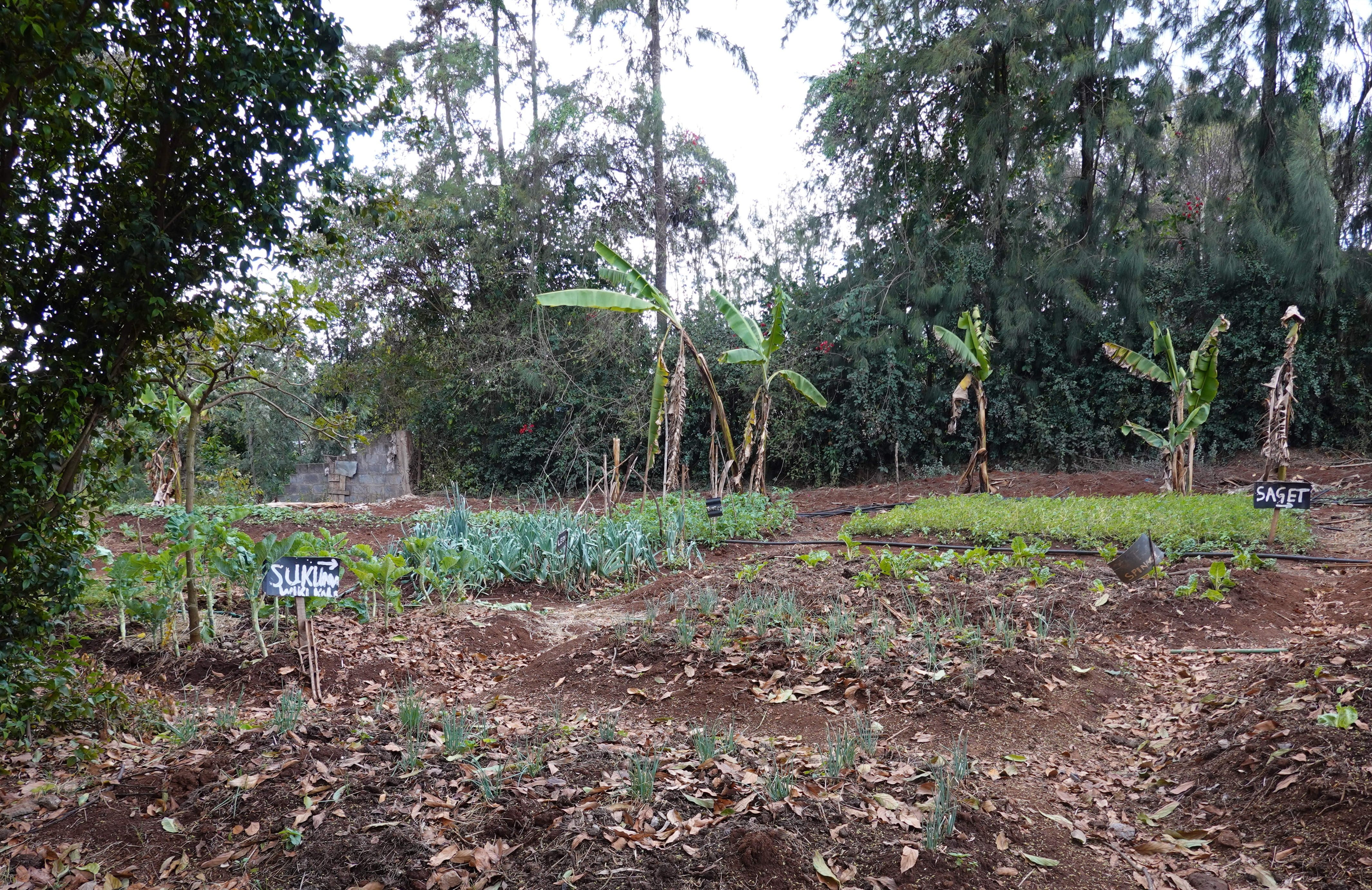 Karen Little Paradise-浴室