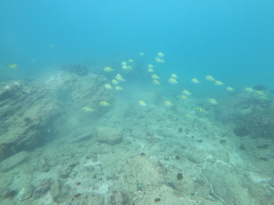 Ruhunu Diving Center Tangalle-唐卡拉必去景点