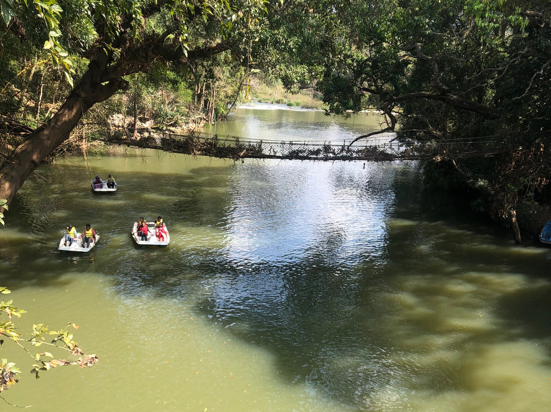 Nisargadhama Forest Resort主图