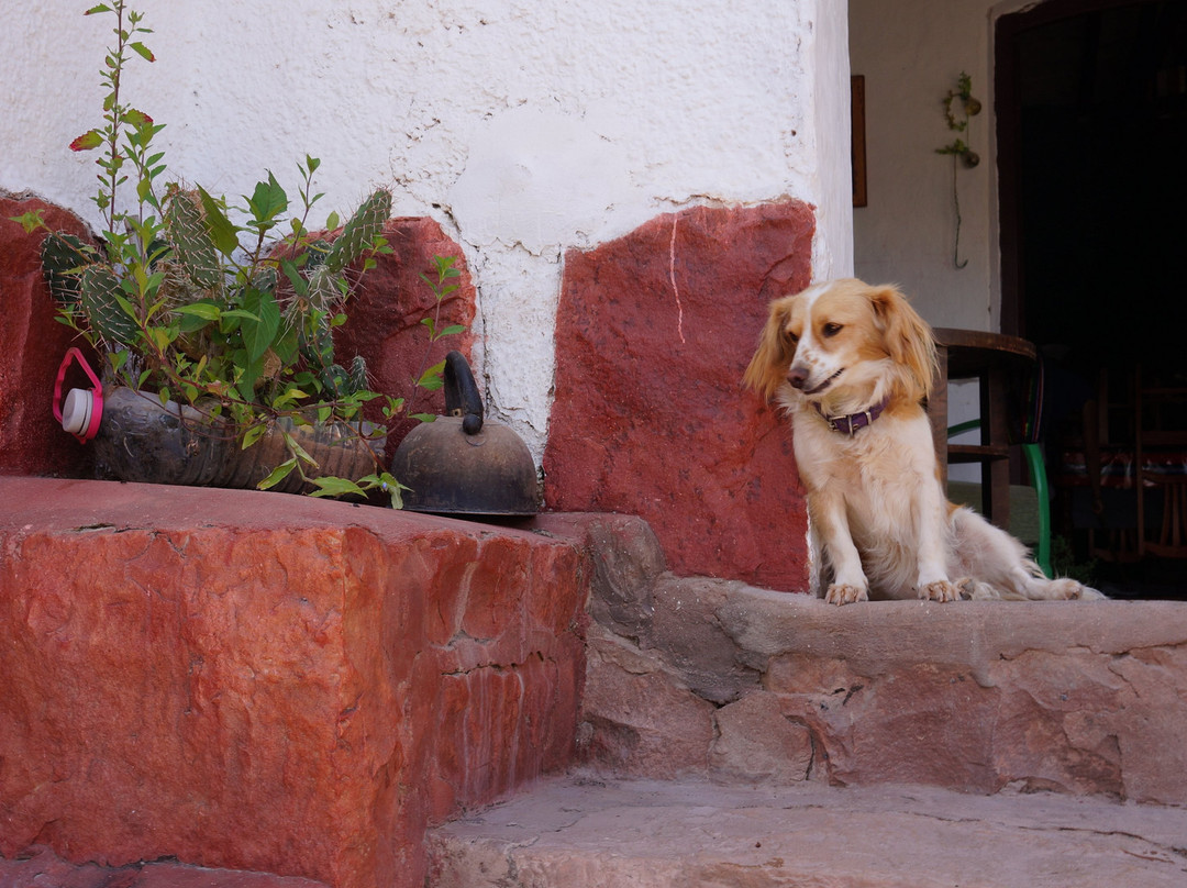 La Albahaca Hospedaje主图