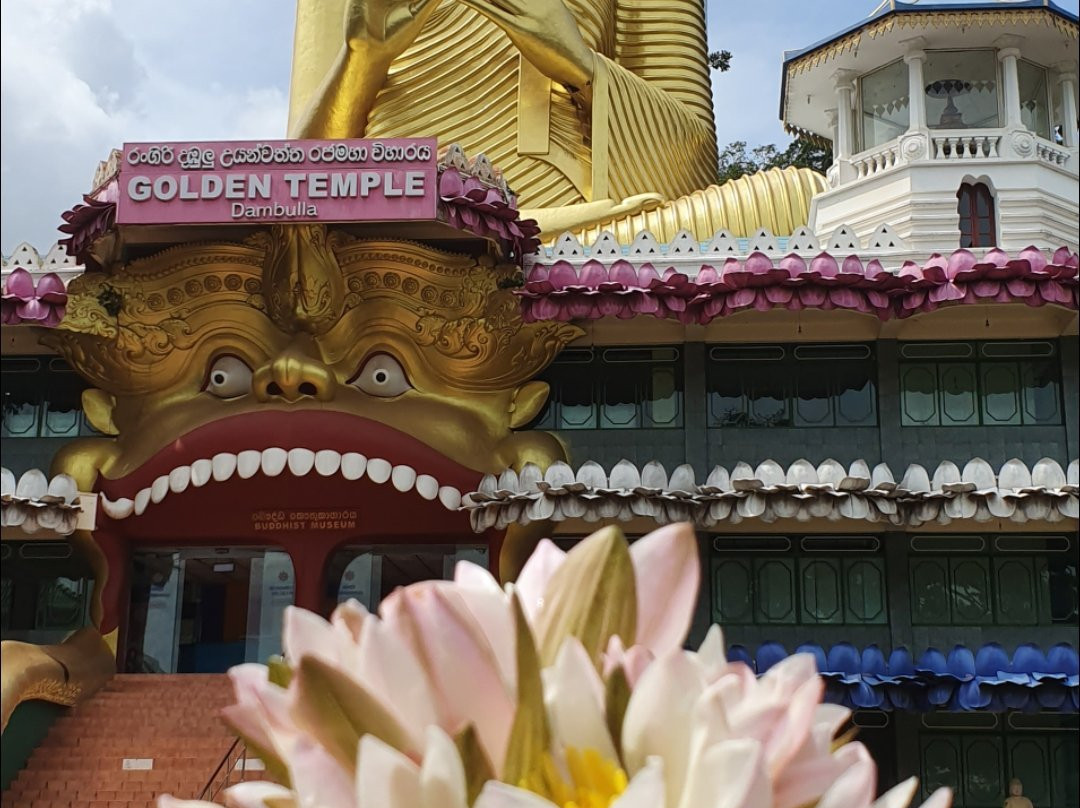 Taxi Sigiriya & Dambulla-锡吉里亚必去景点