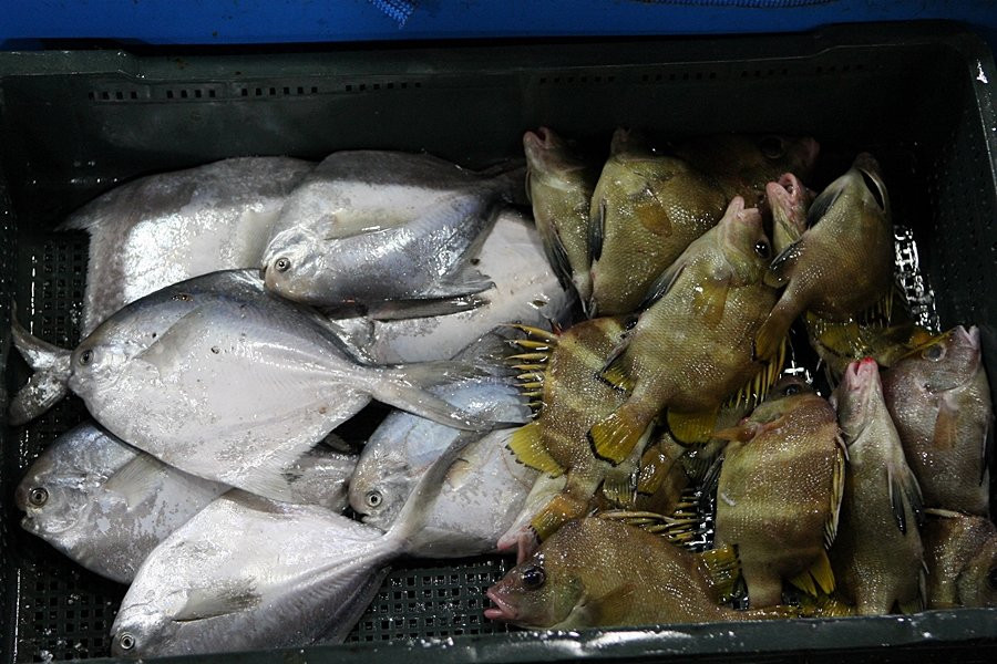 Suhyup Susanmul Center-高兴郡必去景点