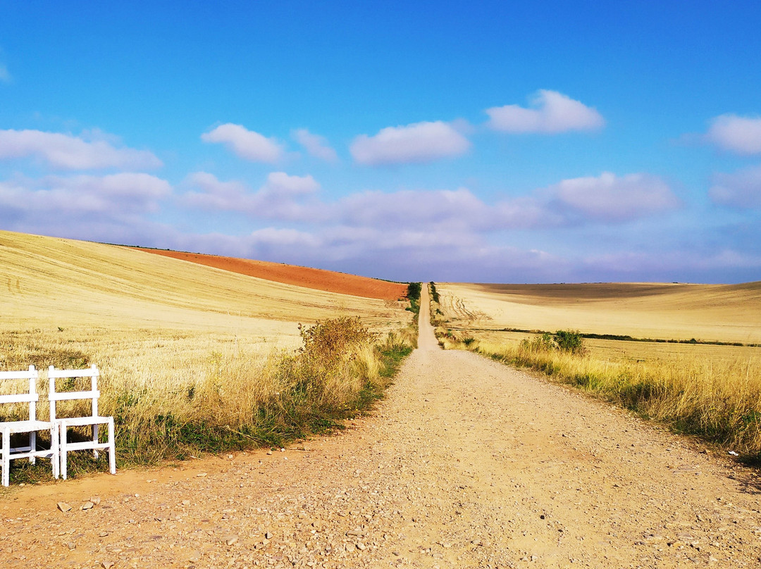 Camino de Santiago景点图片