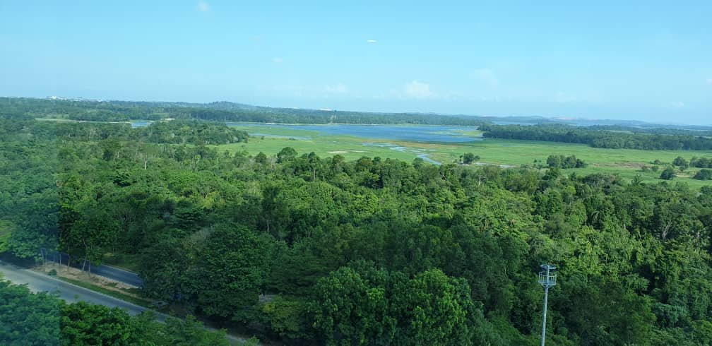 Best Western Premier Panbil-酒店景观