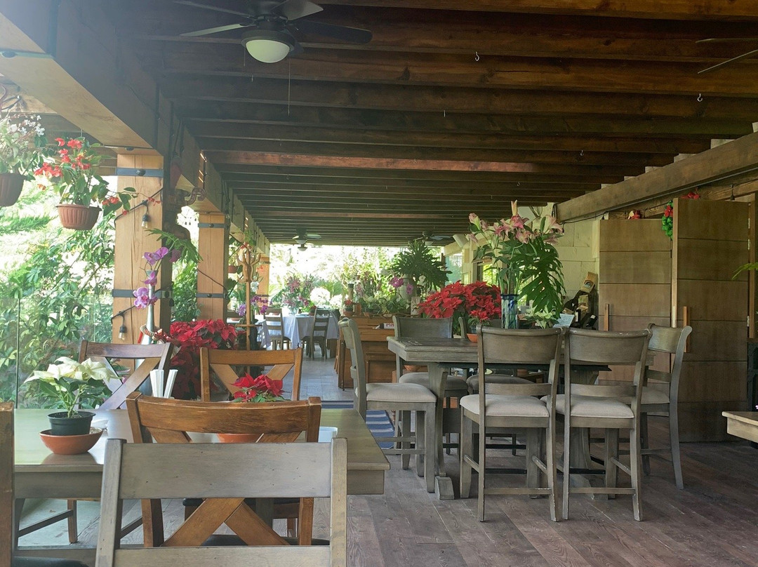 Hotel Matea San Isidro主图