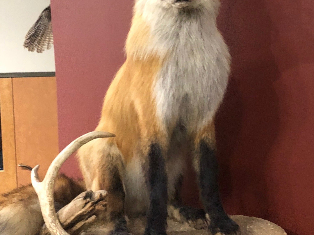 Remington Nature Center-圣约瑟夫必去景点