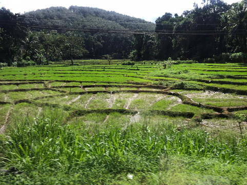 Uplanka Tours-卡卢特勒必去景点