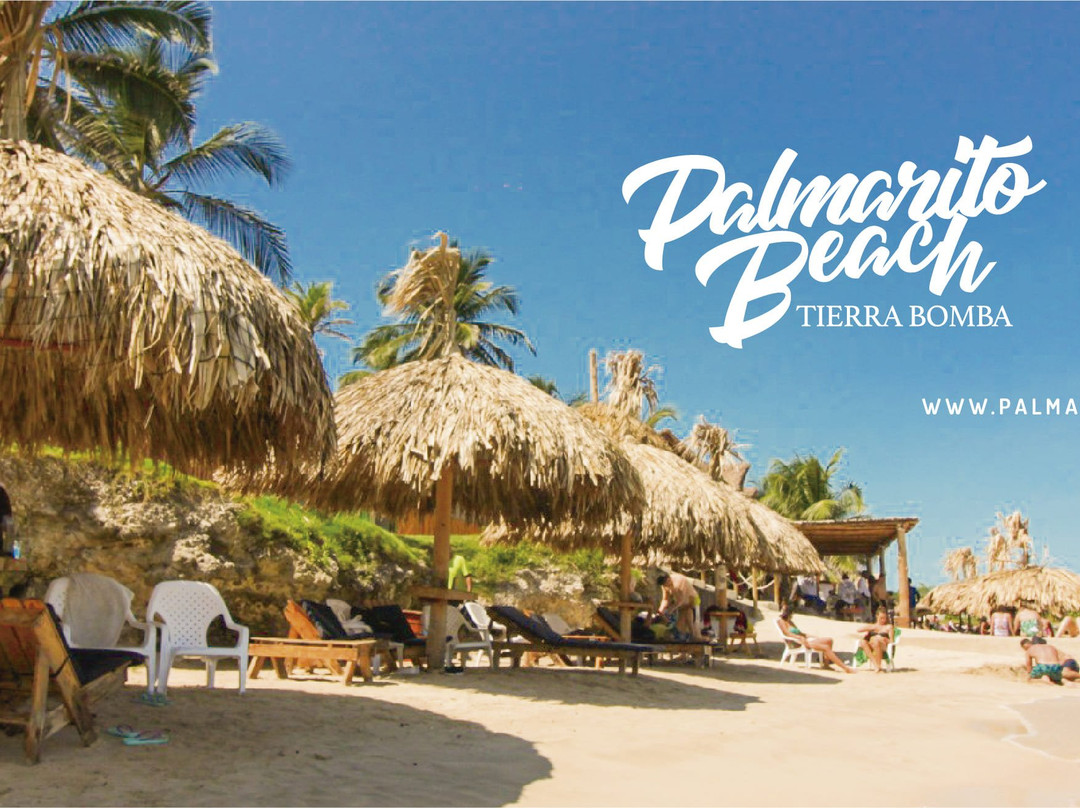 Punta Arenas旅游攻略图片