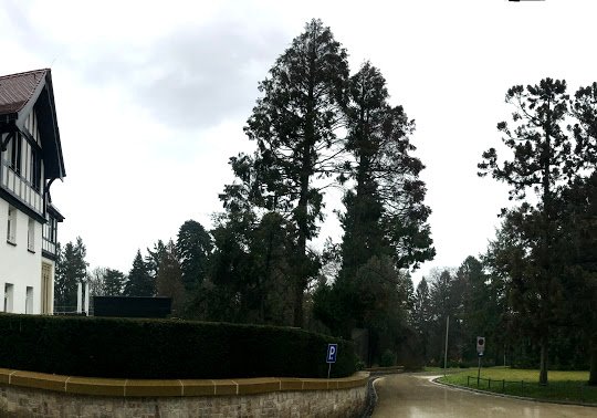 Dorint Frankfurt Oberursel-浴室