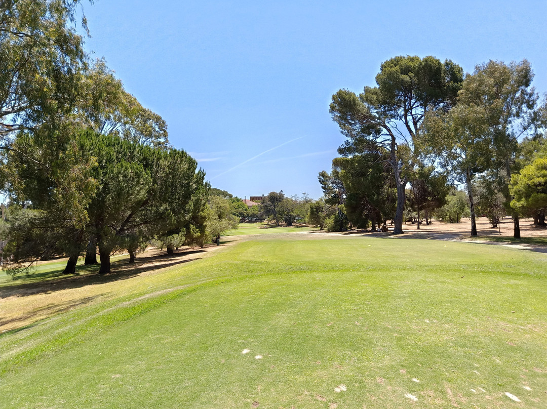 North Adelaide Golf Course景点图片